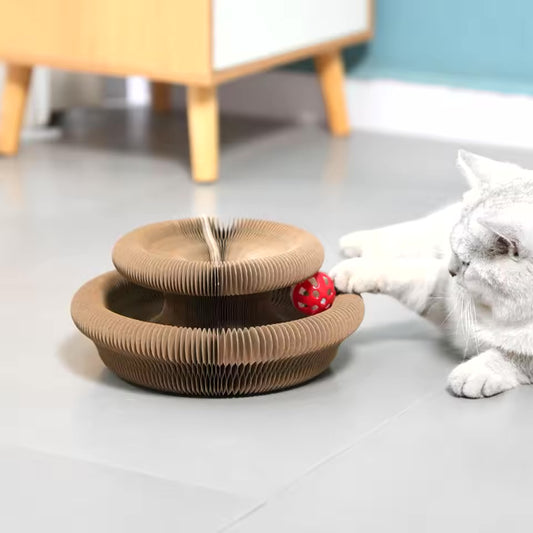 CatsPlay - A macskád kedvenc játéka! 😻
